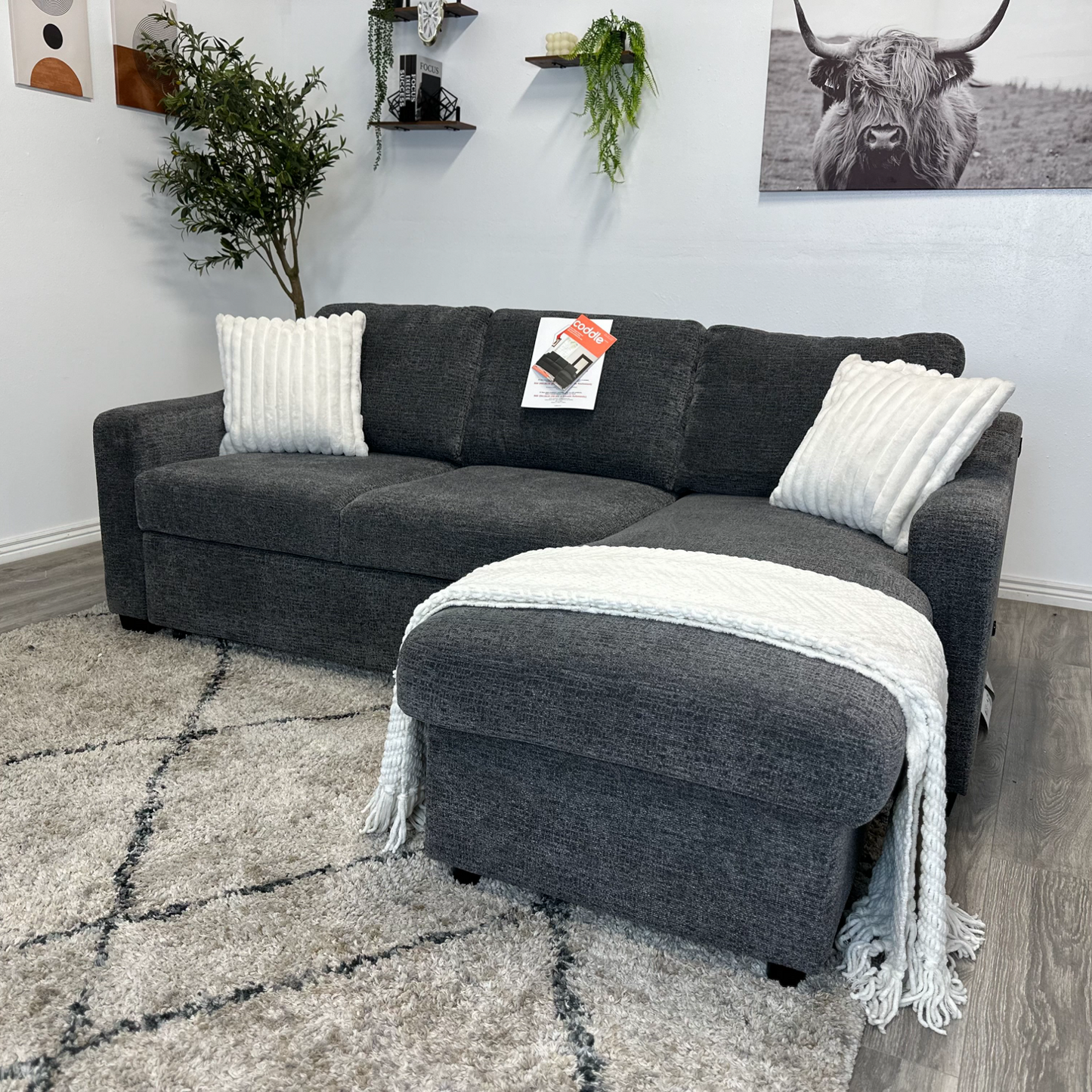 Grey Sleeper Sectional Couch - Free Delivery