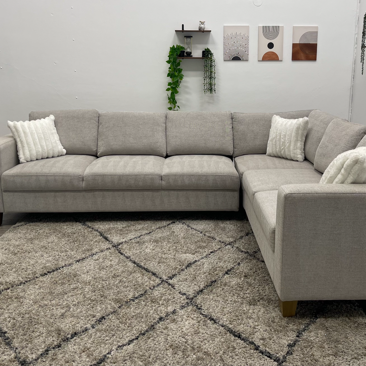 Sectional Couch Sleeper - Free Delivery