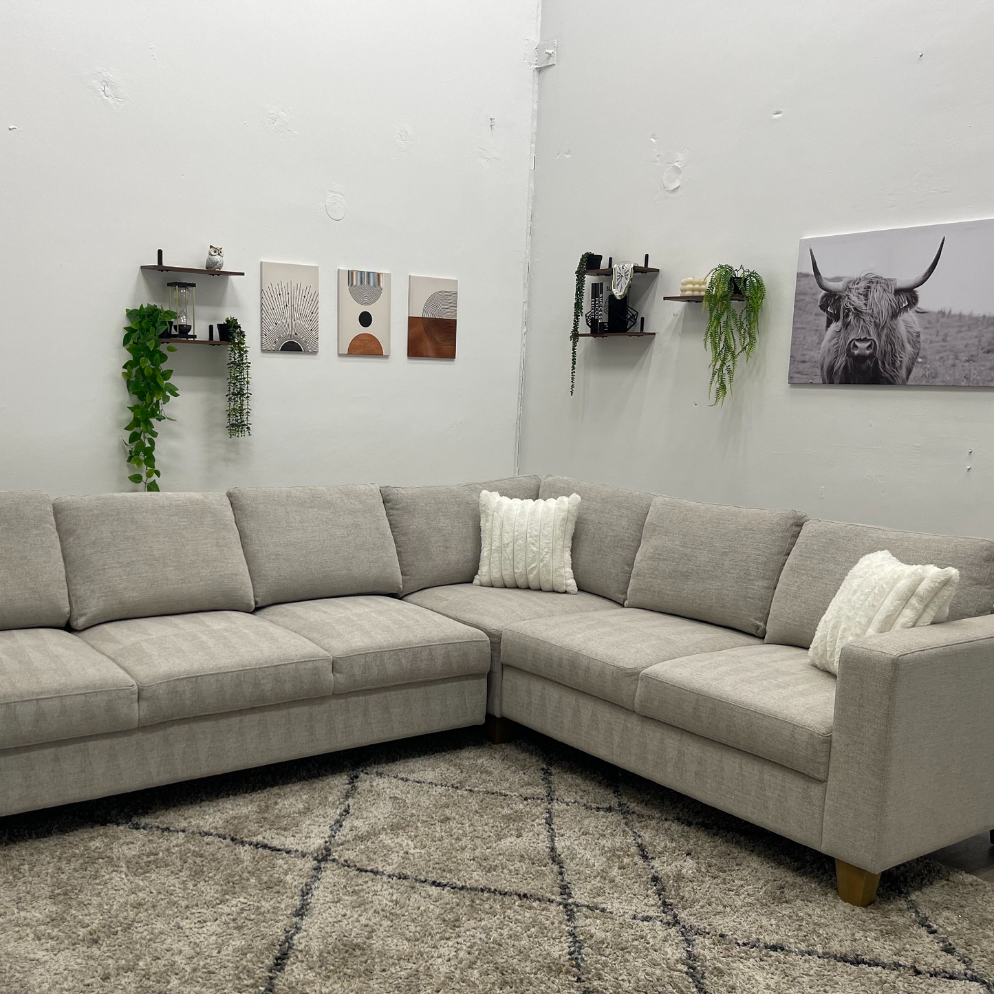 Sectional Couch Sleeper - Free Delivery