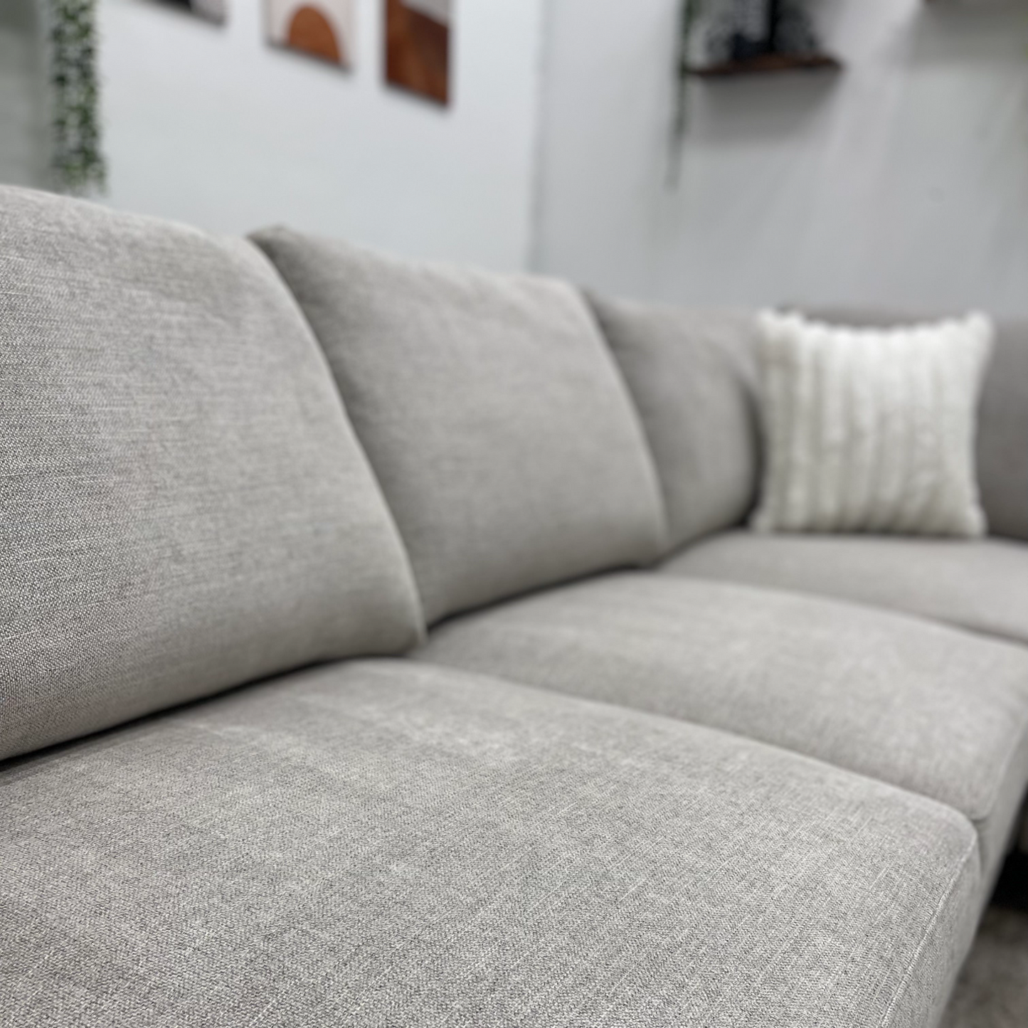 Sectional Couch Sleeper - Free Delivery