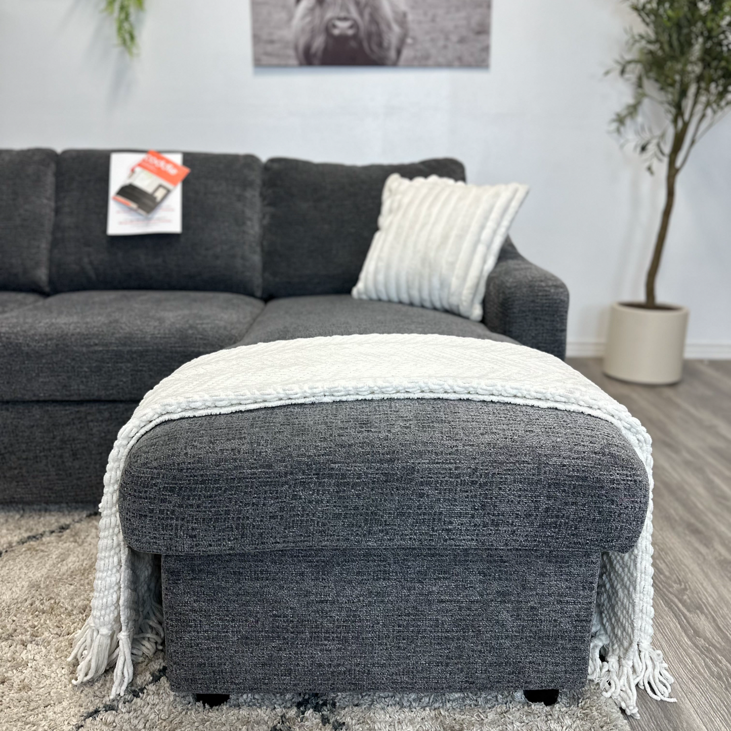 Grey Sleeper Sectional Couch - Free Delivery