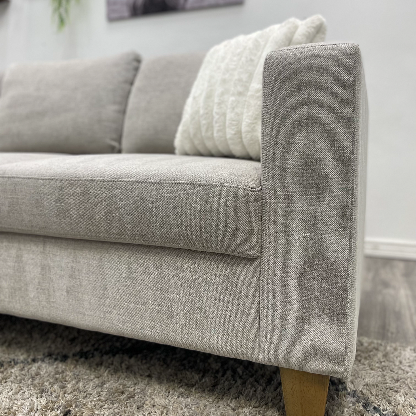 Sectional Couch Sleeper - Free Delivery