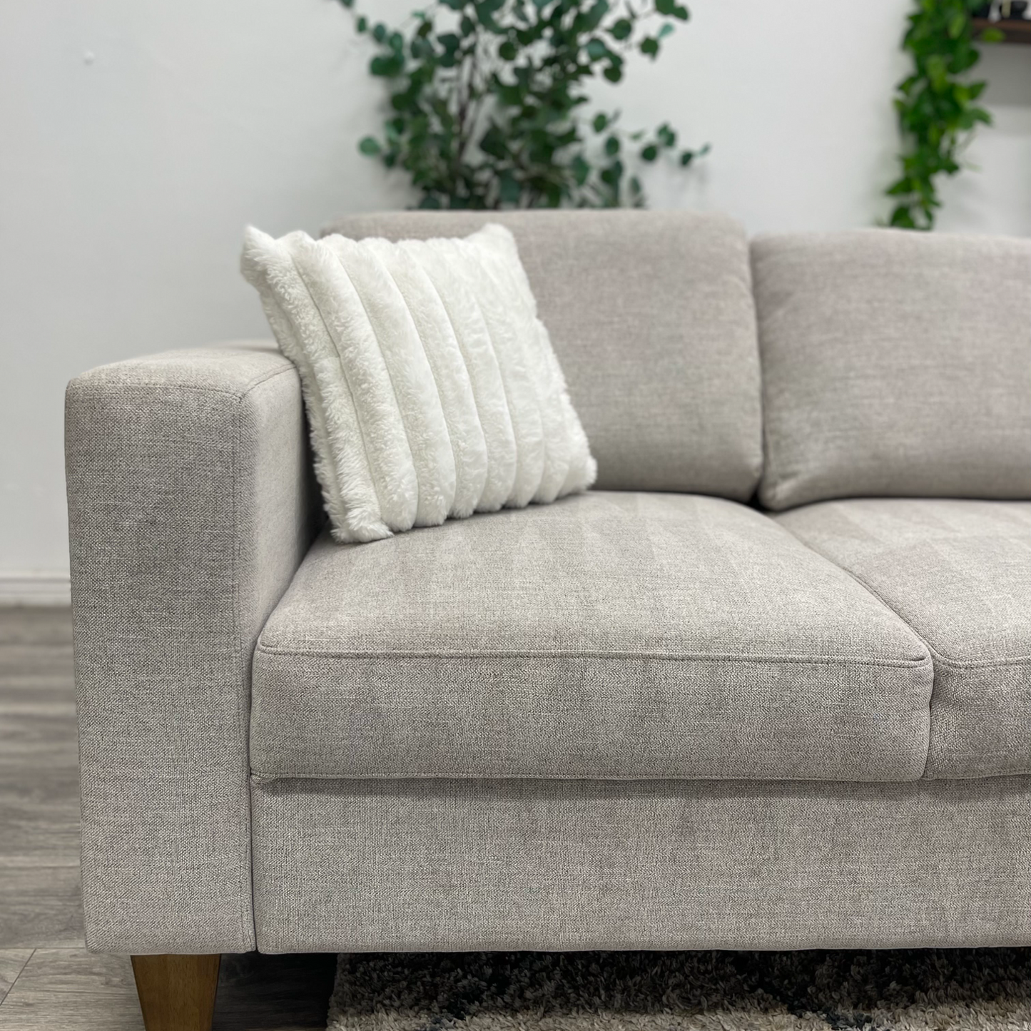 Sectional Couch Sleeper - Free Delivery
