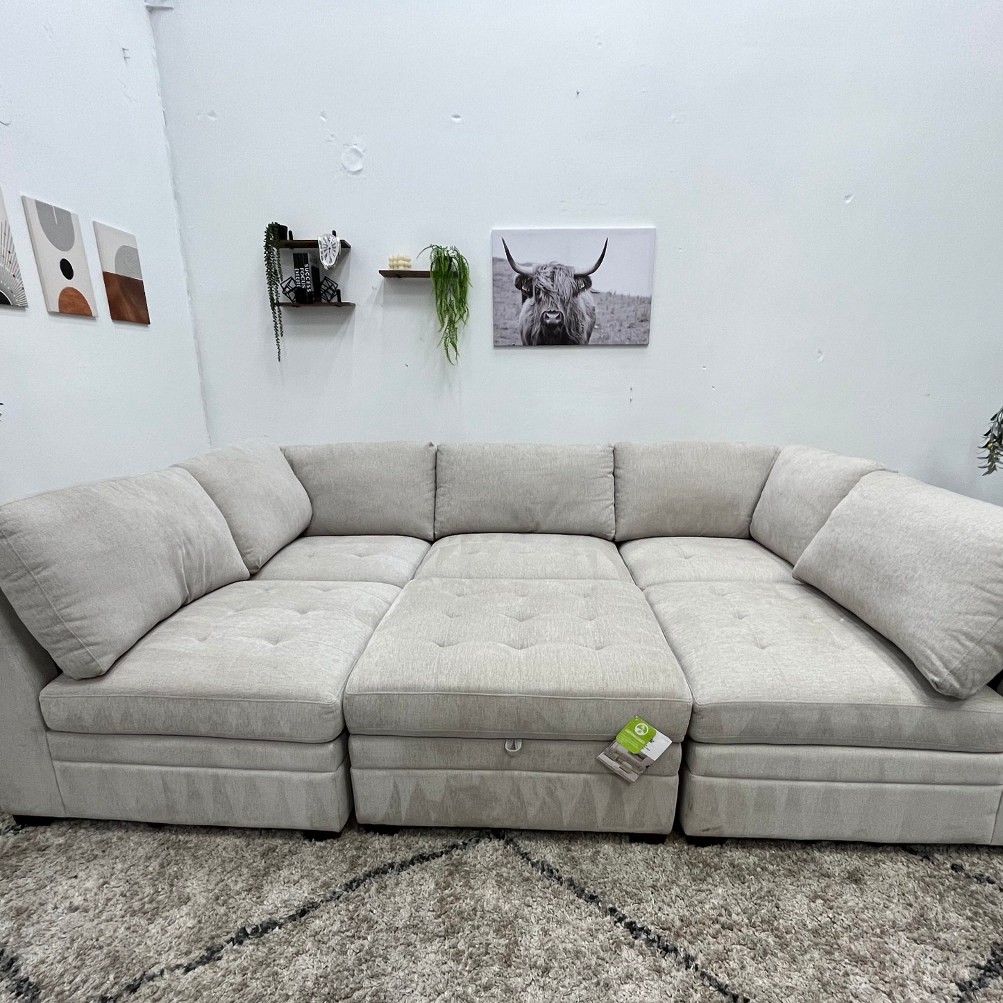 Tisdale Sectional Couch