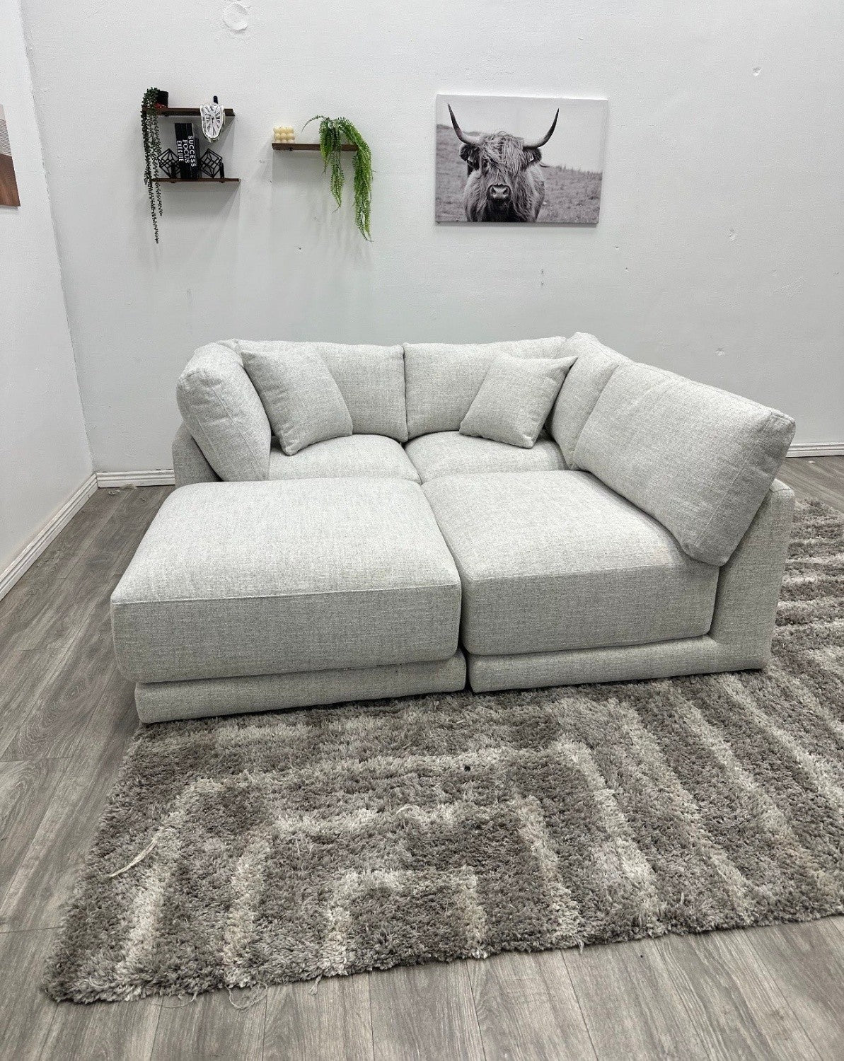 Danya Modular Sectional Couch