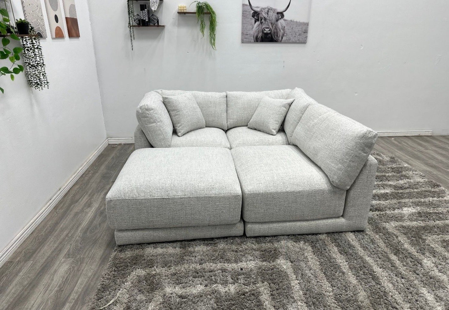 Danya Modular Sectional Couch