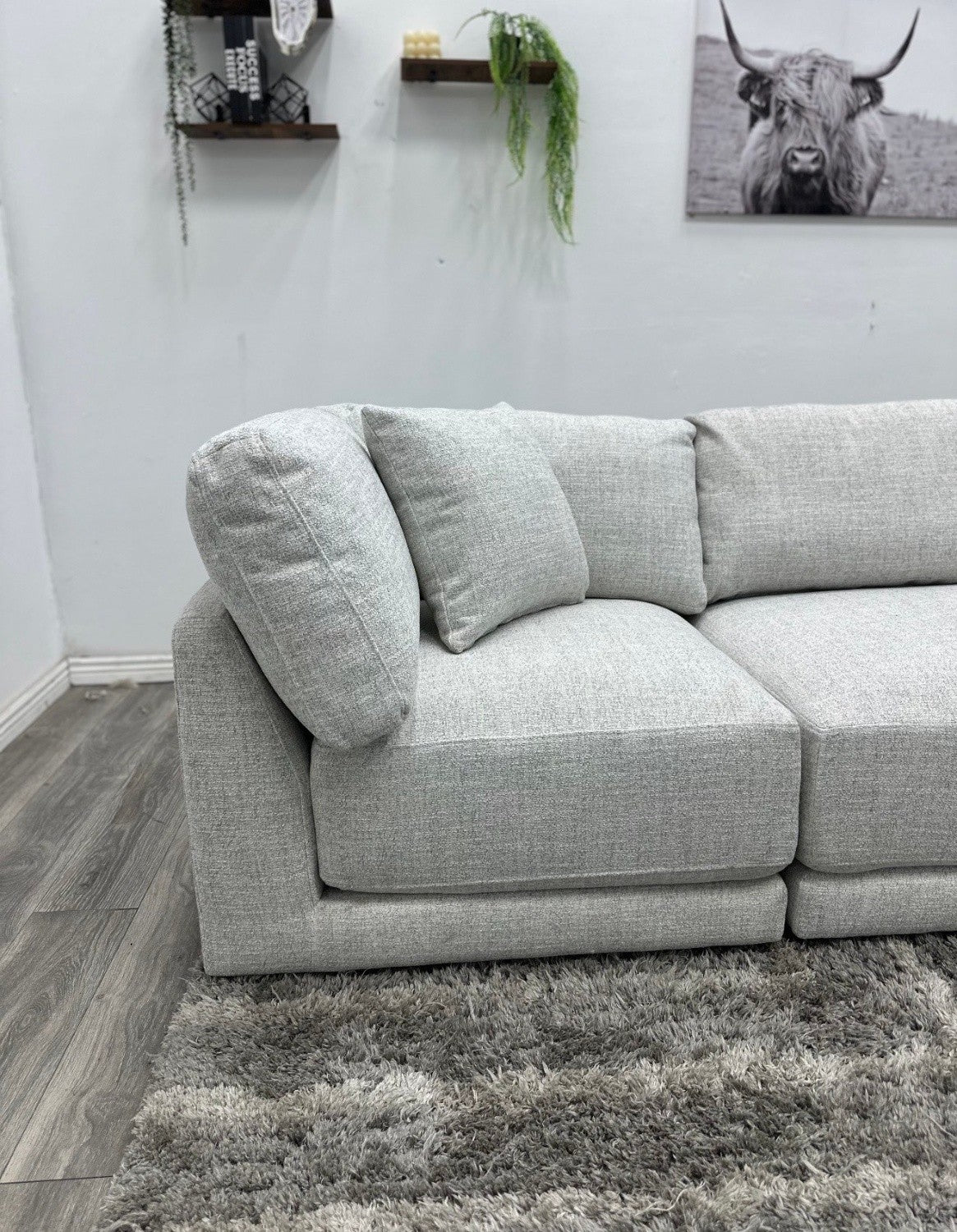 Danya Modular Sectional Couch